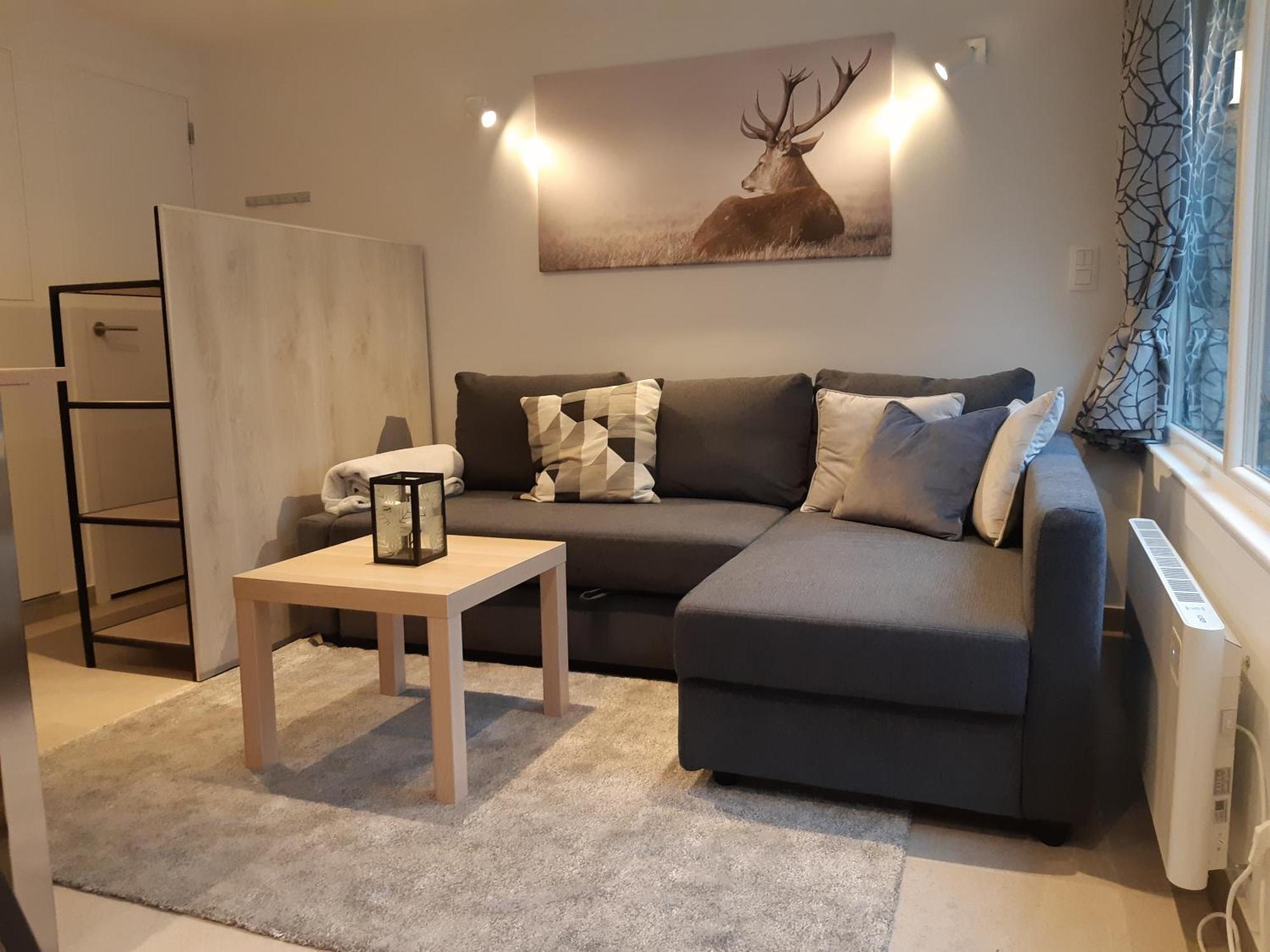 Terrasses De Malmedy F&L Triplex 214 Et Studio 320 Et 317 Et Studio Superieur 340 Zimmer foto